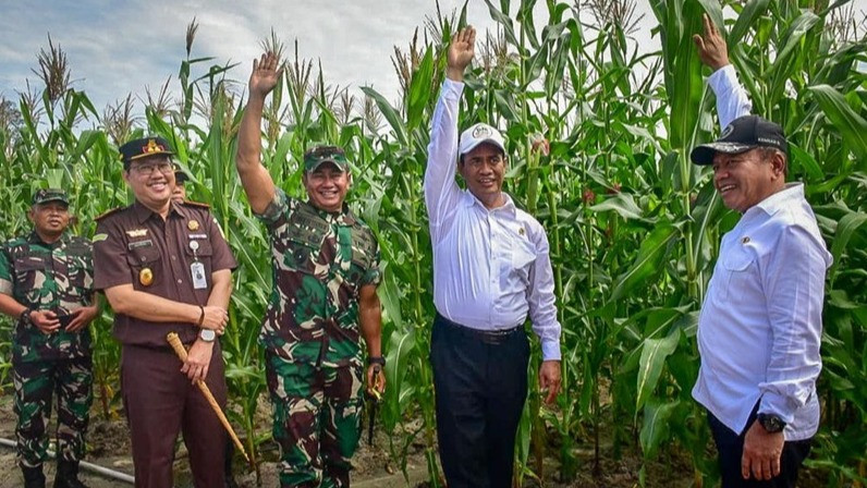 Mentan Amran Bantah Food Estate Gunakan Pot Ini Buktinya