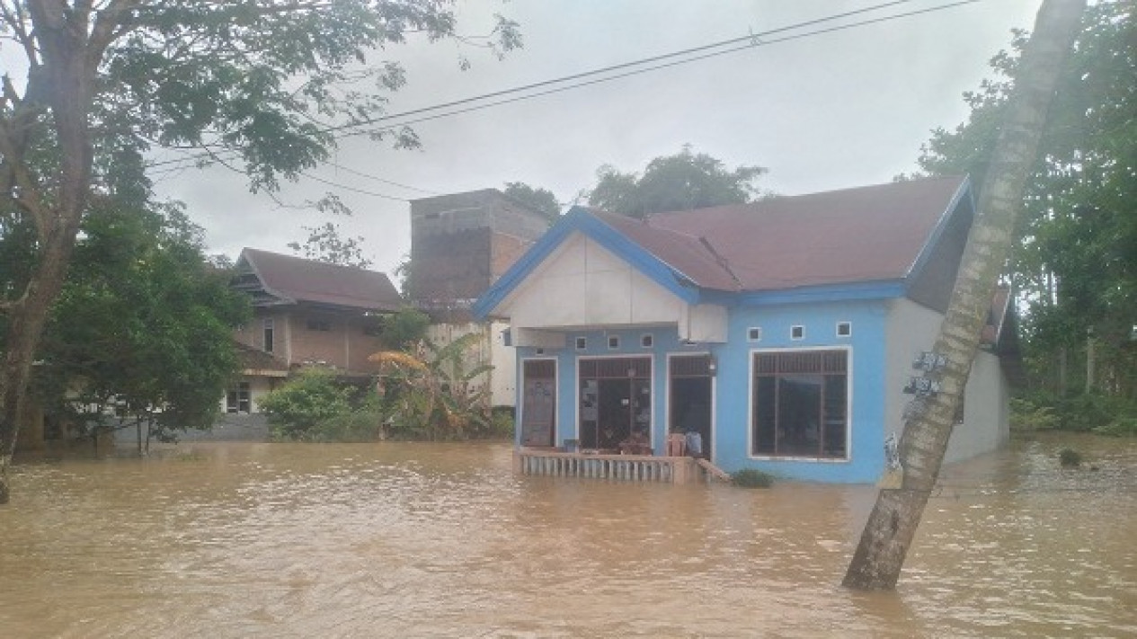 Rumah Di Luwu Terendam Banjir Warga Diungsikan