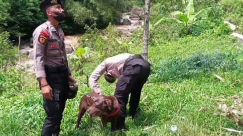 Petugas Kerahkan Anjing Pelacak Cari Jejak Yana Supriatna Yang