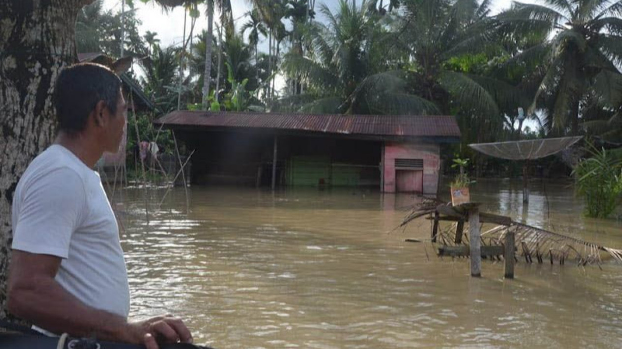 BPBD Aceh Tkmur 1 397 Rumah Masih Terendam Banjir Dengan 6 528 Korban