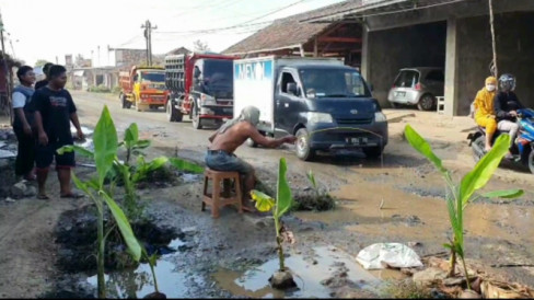 Kesal Jalanan Rusak Parah Warga Di Pati Tanam Pohon Pisang Di Tengah Jalan