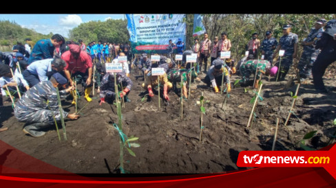 Cegah Abrasi Dan Ekosistem Laut Puluhan Pelajar Dan Mahasiswa Tanam