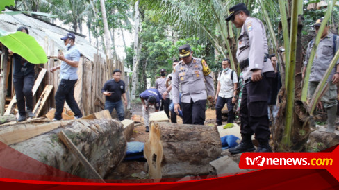 Gerebek Dua Gudang Pengolahan Dan Penyimpanan Kayu Jati Diduga Hasil