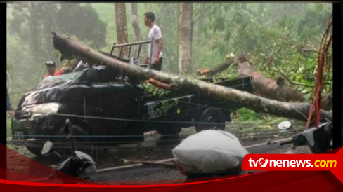 Pohon Tumbang Di Ngantang Malang Timpa Pengendara Sepeda Motor