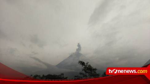 Gunung Semeru Kembali Alami Erupsi Dengan Kolom Letusan Setinggi 700 Meter