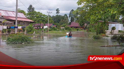 Desa Di Luwu Utara Terendam Banjir Warga Kami Lebih Dari Bosan