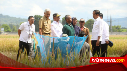 Usai Panen Bersama Presiden Mentan SYL Canangkan Percepatan Tanam