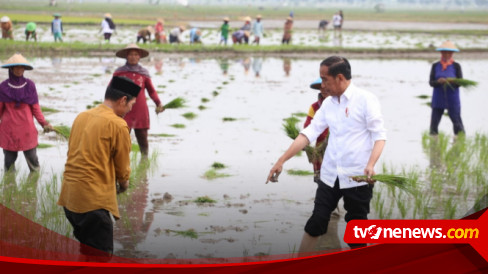 Gunakan Pupuk Organik Petani Tuban Dipuji Presiden Jokowi