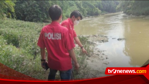 Ribuan Ikan Mati Di Sungai Cileungsi Ada Apa