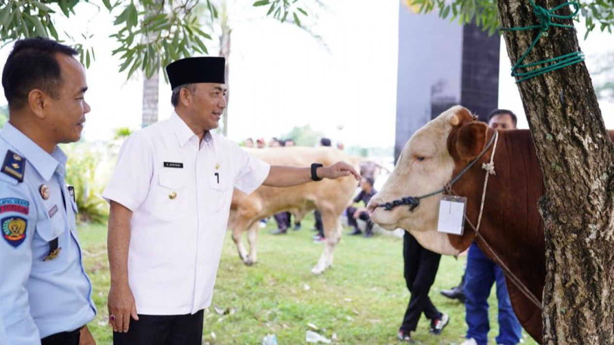 Pemkab Muba Salurkan Puluhan Hewan Kurban Ke Masyarakat Dan Penyandang