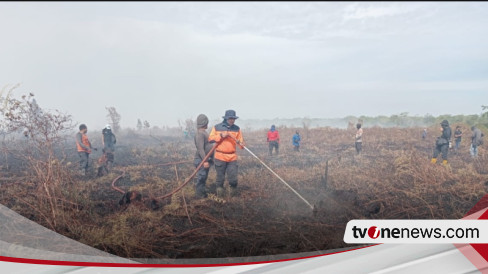 Kebakaran Lahan Gambut Di Aceh Barat Terus Meluas Diduga Ada Unsur