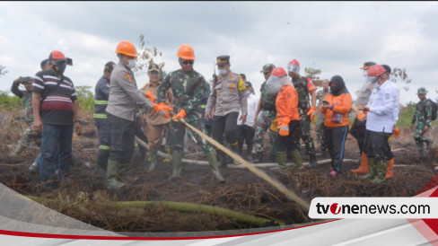 5 768 Hektar Hutan Dan Lahan Terbakar Kalimantan Barat Siaga Darurat