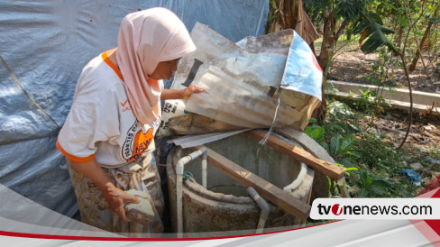 Dampak Kemarau Panjang Ratusan Sumur Warga Mengering Di Semarang