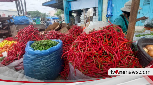 Musim Penghujan Harga Cabai Merah Hampir Menyentuh Level Rp Ribu Per