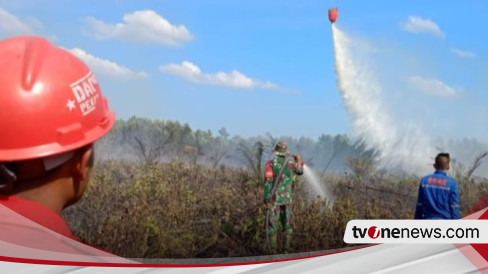 BMKG Ungkap Ada 853 Titik Panas Di Sumatera Terbanyak Di Sumsel 546