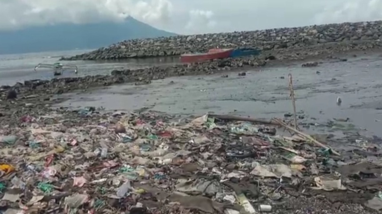 Ribuan Ikan Mati Terdampar Di Pantai Ternate