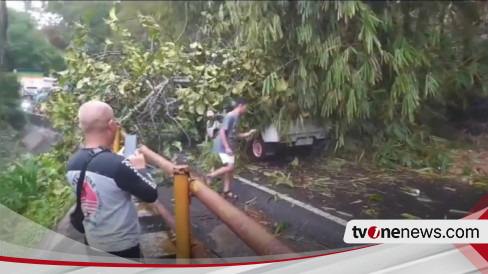 Pohon Besar Di Kawasan Cadas Pangeran Tumbang Dan Menimpa Kendaraan