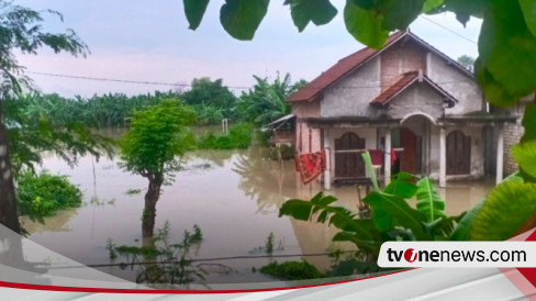 Bengawan Solo Di Lamongan Siaga Merah Sejumlah Titik Tanggul Di