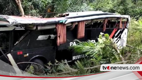 Bus Study Tour Pelajar Lampung Kecelakaan Di Tanggamus Beberapa Orang