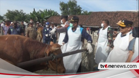 Tekan Angka Kasus PMK Pemkab Jombang Tutup Seluruh Pasar Hewan