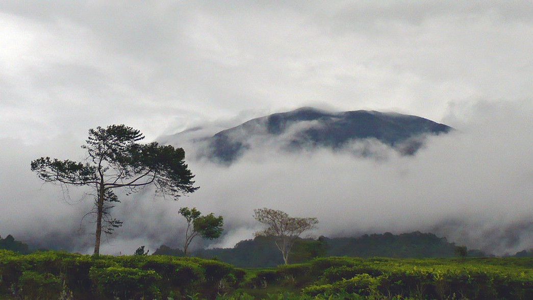 Tempat Wisata di Puncak
            - galeri foto