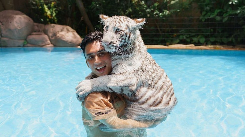 Alshad Ahmad dengan salah satu harimau putih peliharaannya