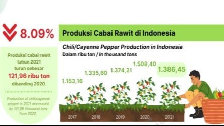 Cabai, si Kecil Pedas Dalam Angka Statistik di Indonesia