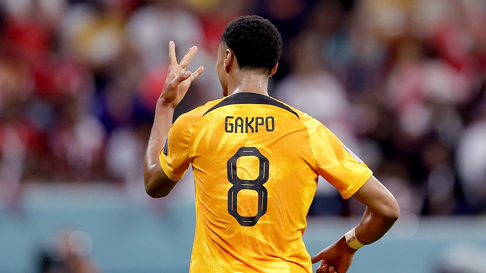 Pemain Timnas Belanda, Gakpo