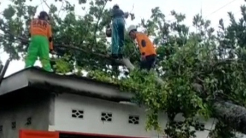 Angin Kencang Terjang Maros, Sejumlah Rumah Rusak dan Pohon Tumbang