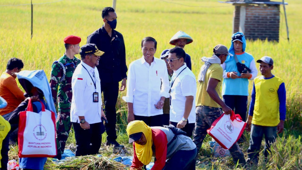 Panen Raya Ngawi, Presiden Jokowi Ajak Petani Percepatan Penanaman