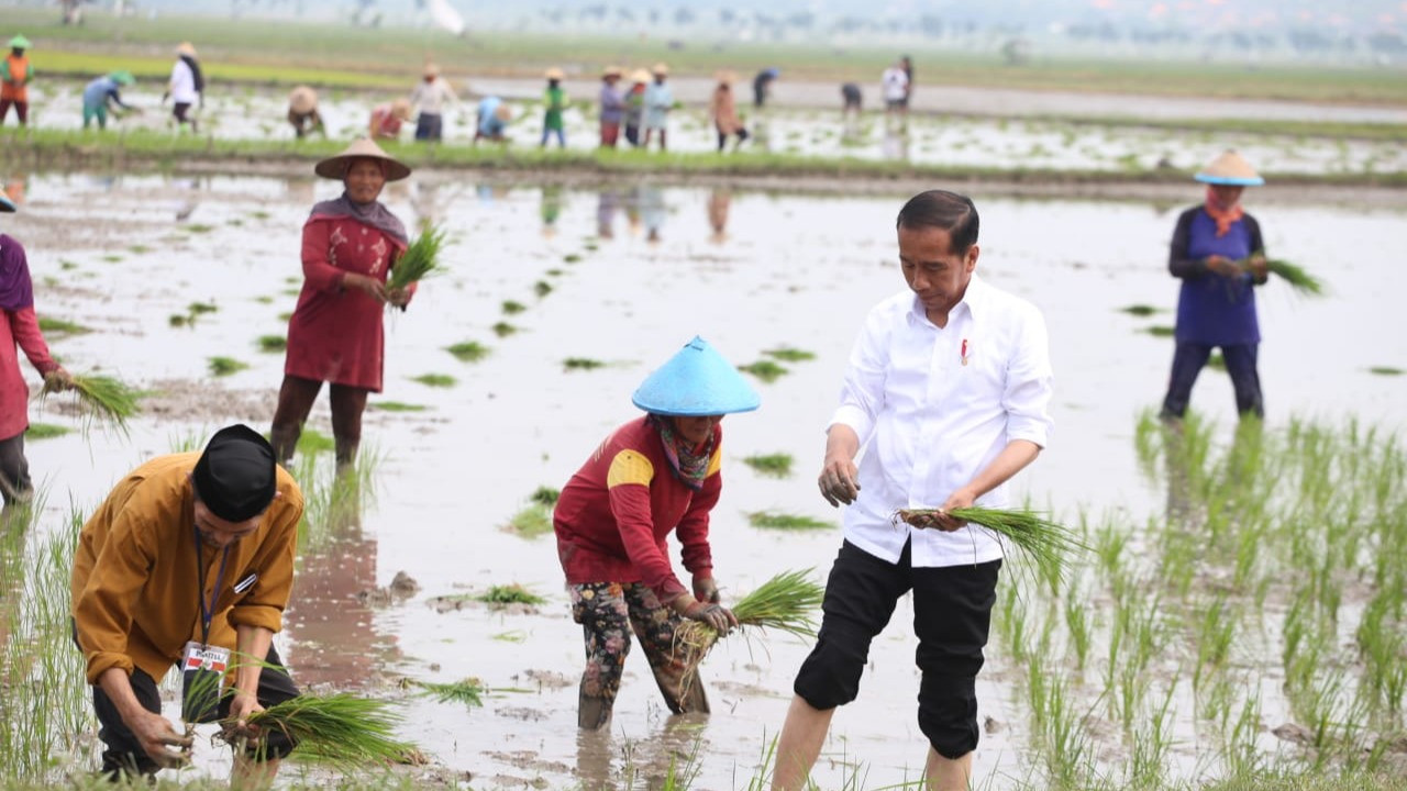 Presiden Jokowi dan Mentan SYL