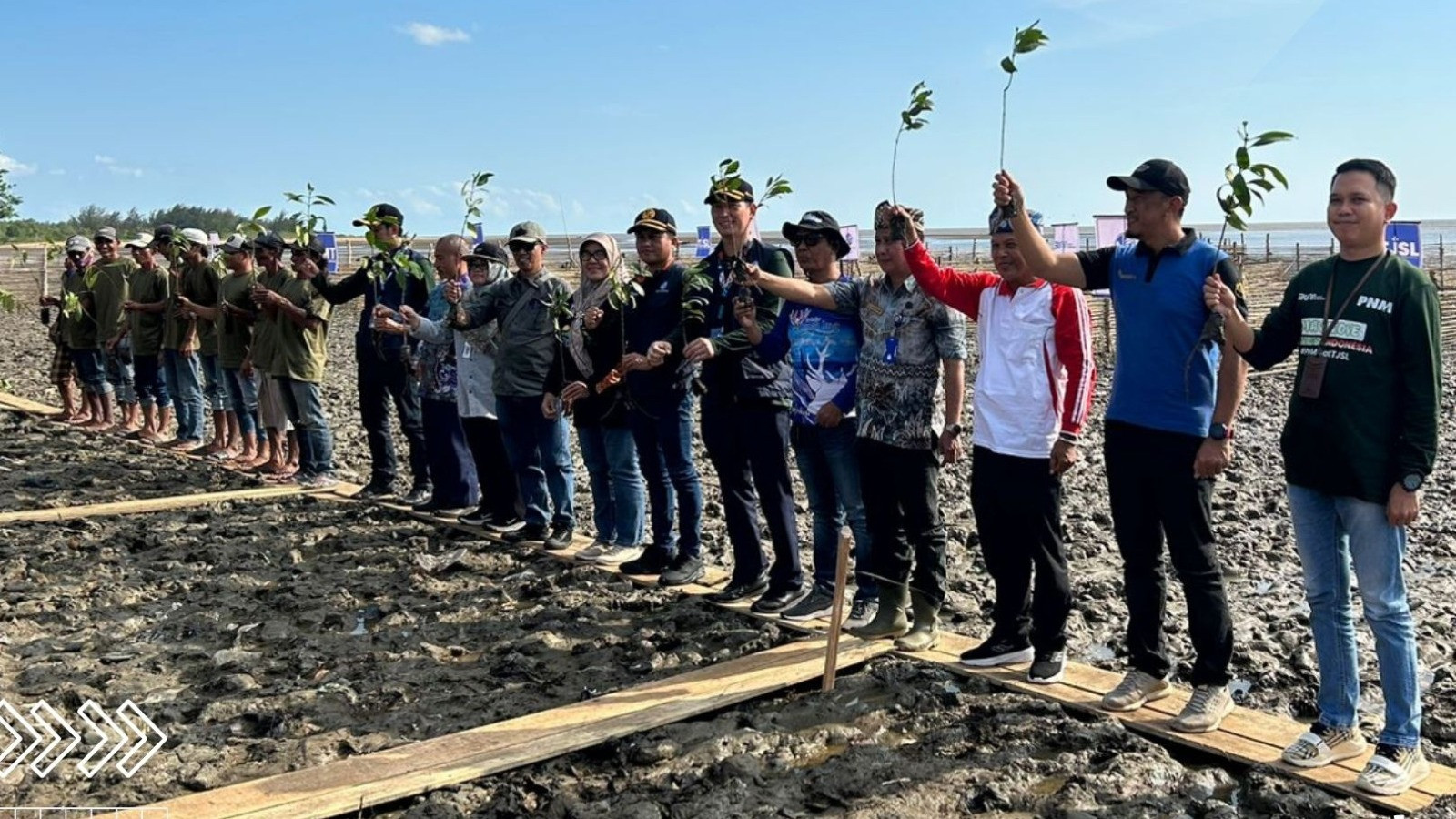 Rayakan HUT ke-78 RI, PNM Tanam 22.000 Pohon Mangrove untuk Bantu Tekan Polusi & Stabilkan Ekosistem Pesisir