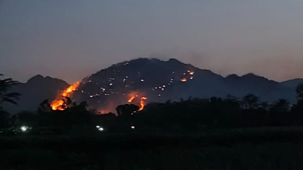 Hutan Jati di kawasan Gunung Gede Desa Bekare, Kecamatan Bungkal, terbakar.