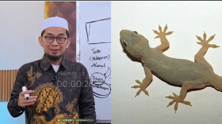 Ustaz Adi Hidayat soal cicak