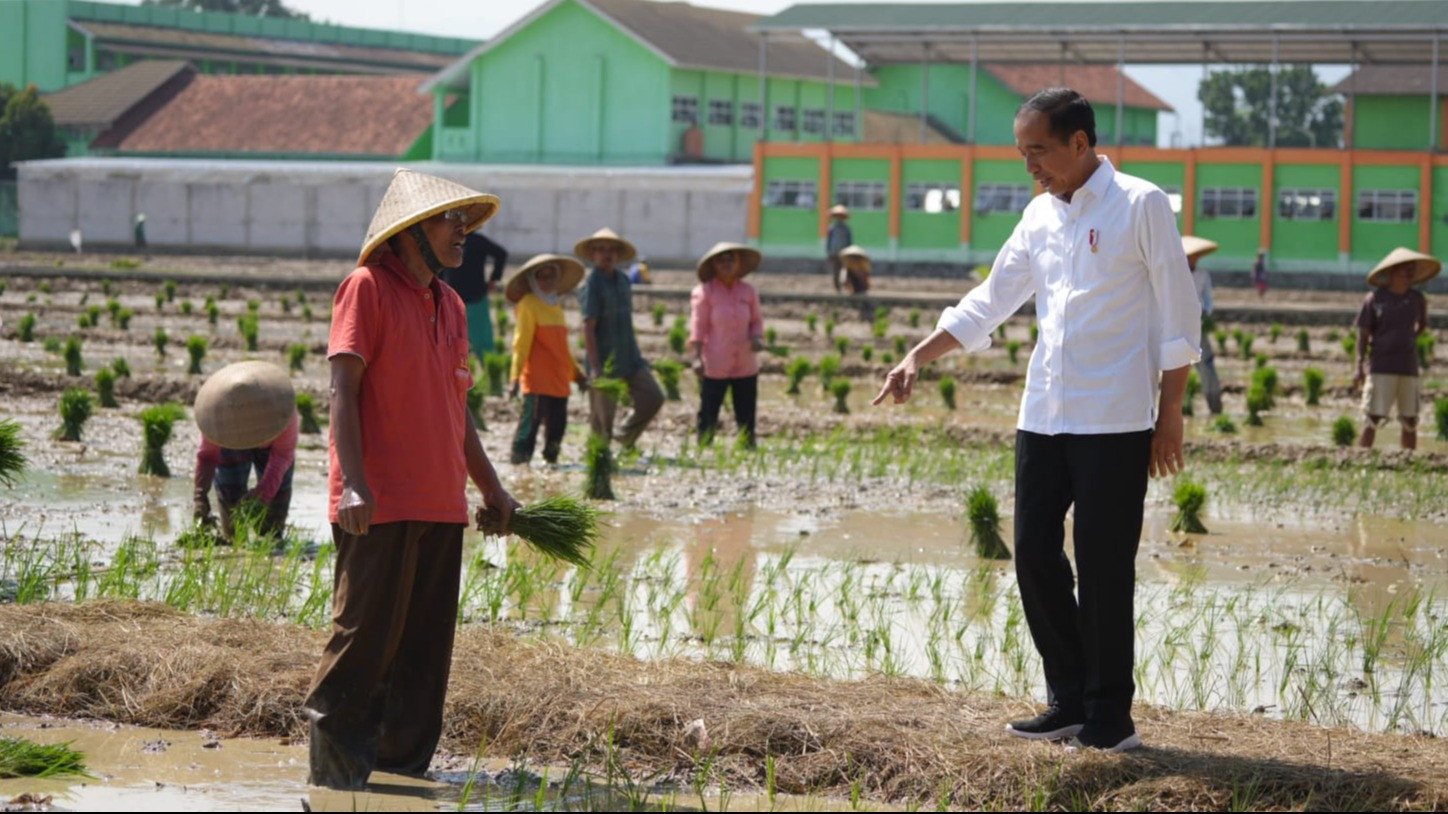 Presiden Joko Widodo turun meninjau langsung aktivitas petani di Pekalongan.