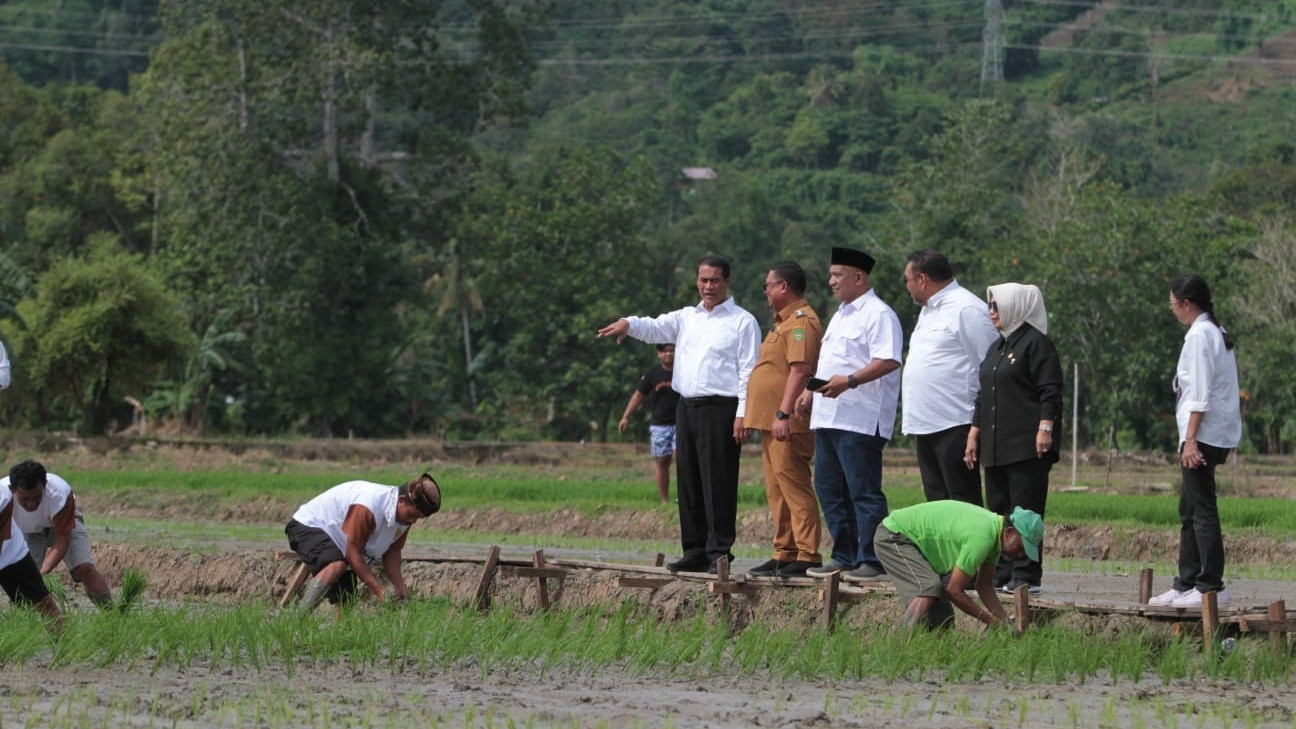Kementerian Pertanian (Kementan) dan Badan Pangan Nasional (Bapanas) mengajak semua stakeholder guna menyambut masa panen raya padi dan jagung yang diperkirakan terjadi mulai Maret 2024.