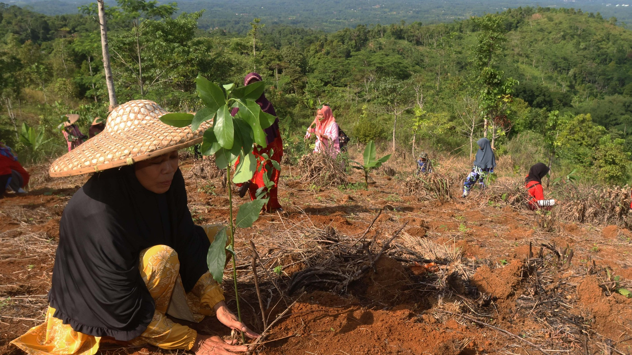 Melihat adanya fenomena meluasnya lahan kritis di Indonesia, PT Telkom Indonesia (Persero) Tbk (Telkom) pun turut mendukung pemerintah dalam pemulihan lahan kritis dan pembangunan berkelanjutan.