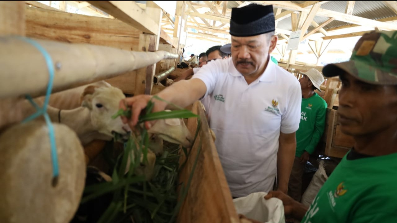 Badan Amil Zakat Nasional (BAZNAS) RI meluncurkan program Balai Ternak BAZNAS Kabupaten Sumedang di Desa Cijeungjing, Kecamatan Jatigede.