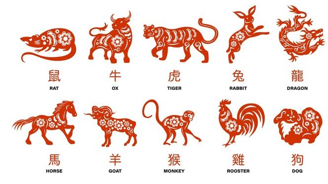 Shio Kerbau 29 April 2025: Keuangan Meningkat Tajam, tapi Cinta Diuji, Hati-Hati dengan Satu Godaan Ini!
            - galeri foto