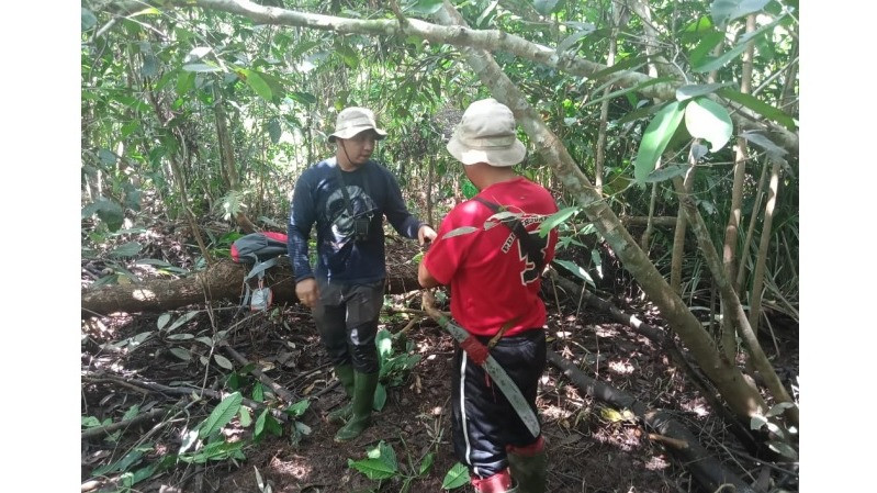 Tim KeHati BKSDA Kalteng melakukan survei keanekaragaman hayati di Pulau Hanibung.