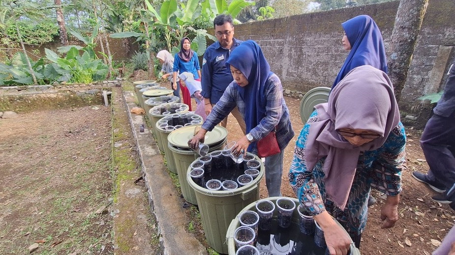 PT Permodalan Nasional Madani (PNM) melalui Cabang Purwokerto membentuk klasterisasi budidaya ikan di ember atau budidamber di Unit Mekaar Sumbang 2, Banyumas.