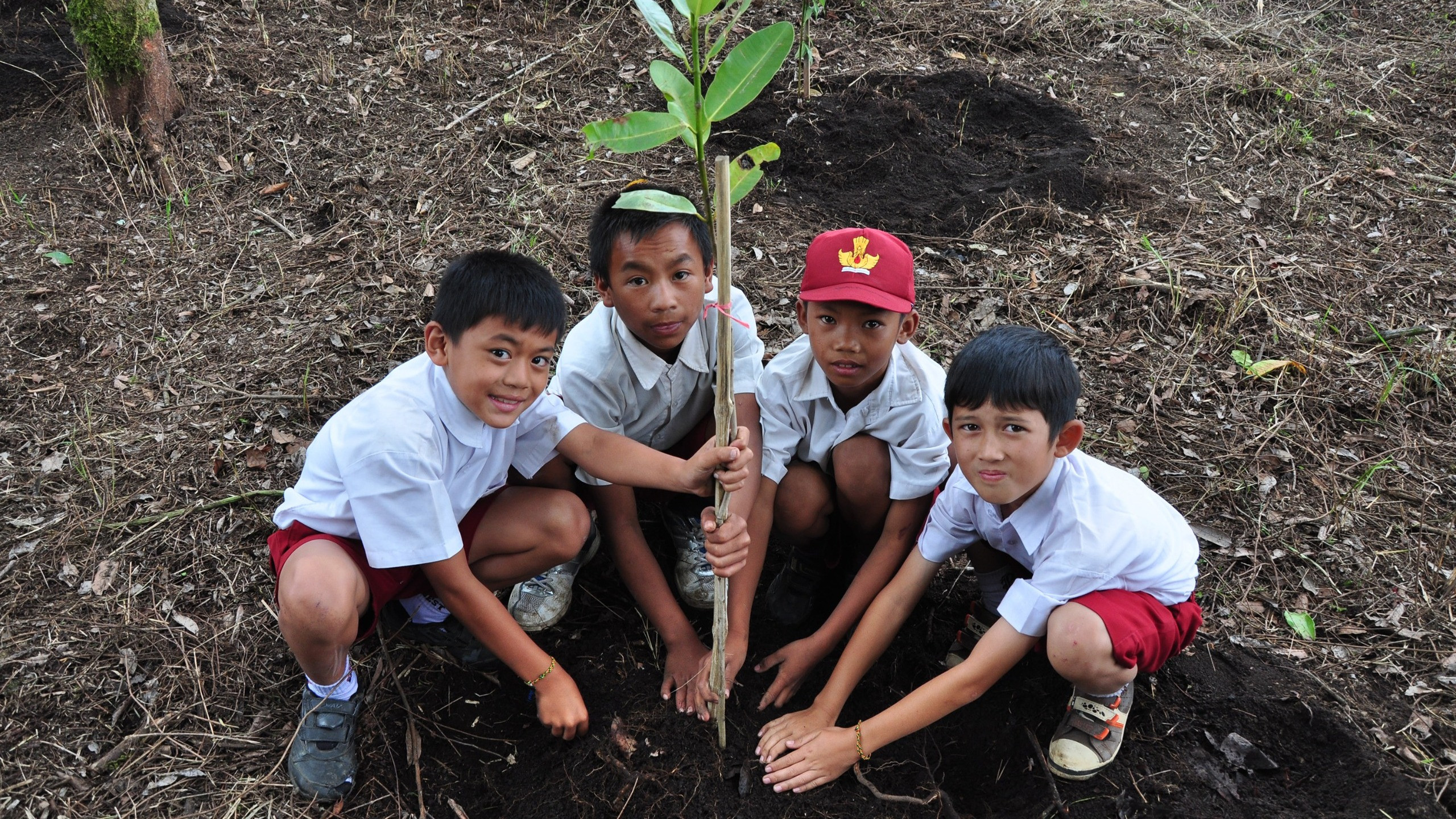 PT Pertamina (Persero) mengajak anak-anak Indonesia, termasuk putra-putri Perwira (anak pekerja di lingkungan Pertamina Group), untuk meningkatkan kesadaran akan pentingnya upaya keberlanjutan sejak dini.