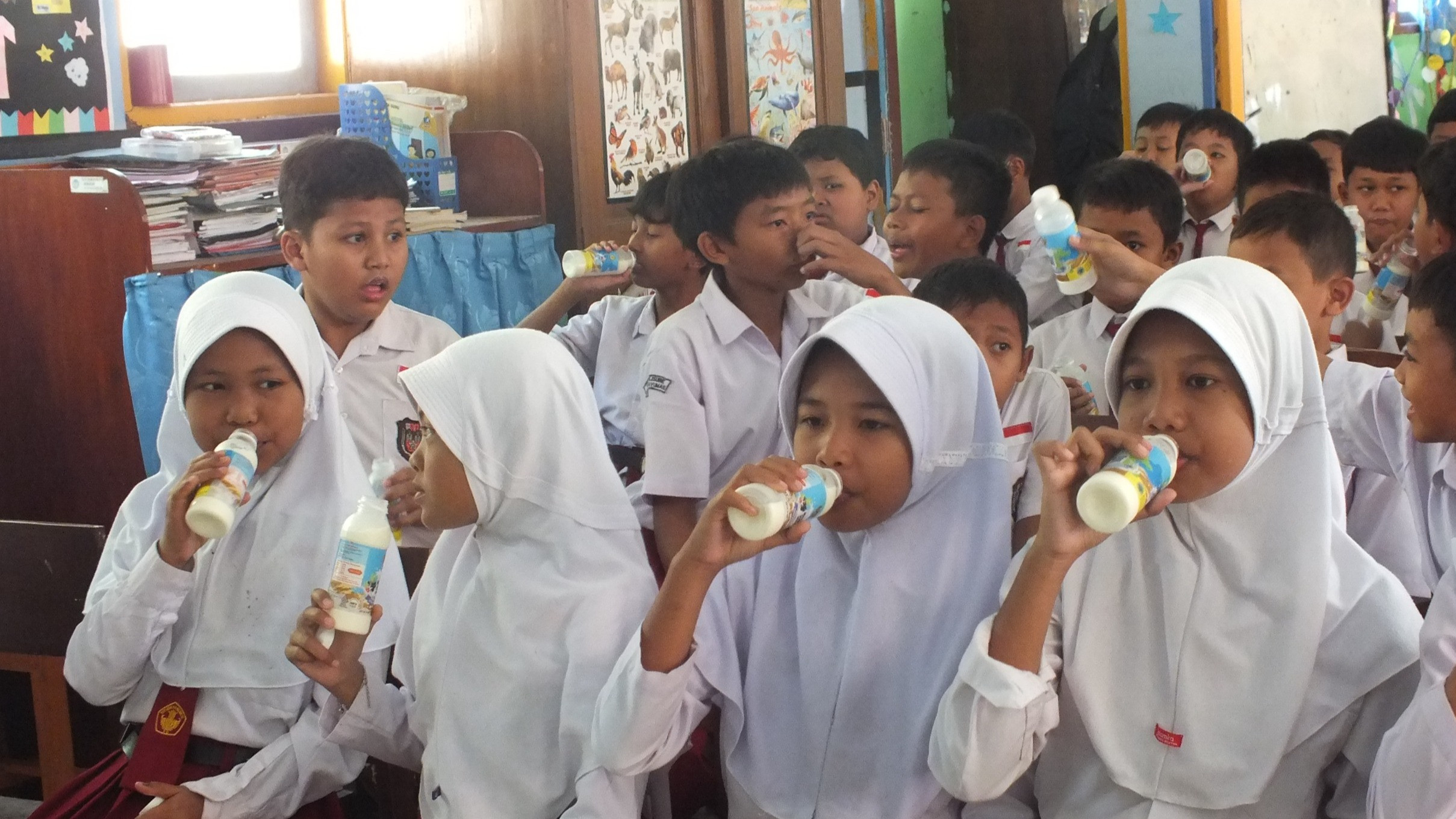 Kementerian Pertanian melalui Direktorat Jenderal Peternakan dan Kesehatan Hewan (Ditjen PKH) memastikan bahwa Gerakan Minum Susu bagi siswa Sekolah Dasar di Kecamatan Banyumas, Kabupaten Banyumas, Jawa Tengah.