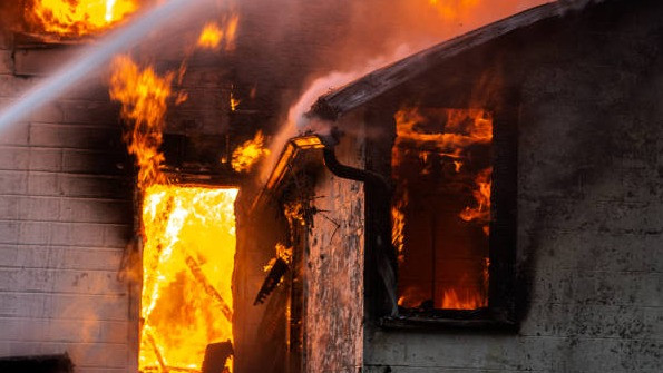 Ilustrasi Banyak tikus di rumah dapat menyebabkan dampak buruk, salah satunya yaitu kebakaran. Sumber: istockphoto