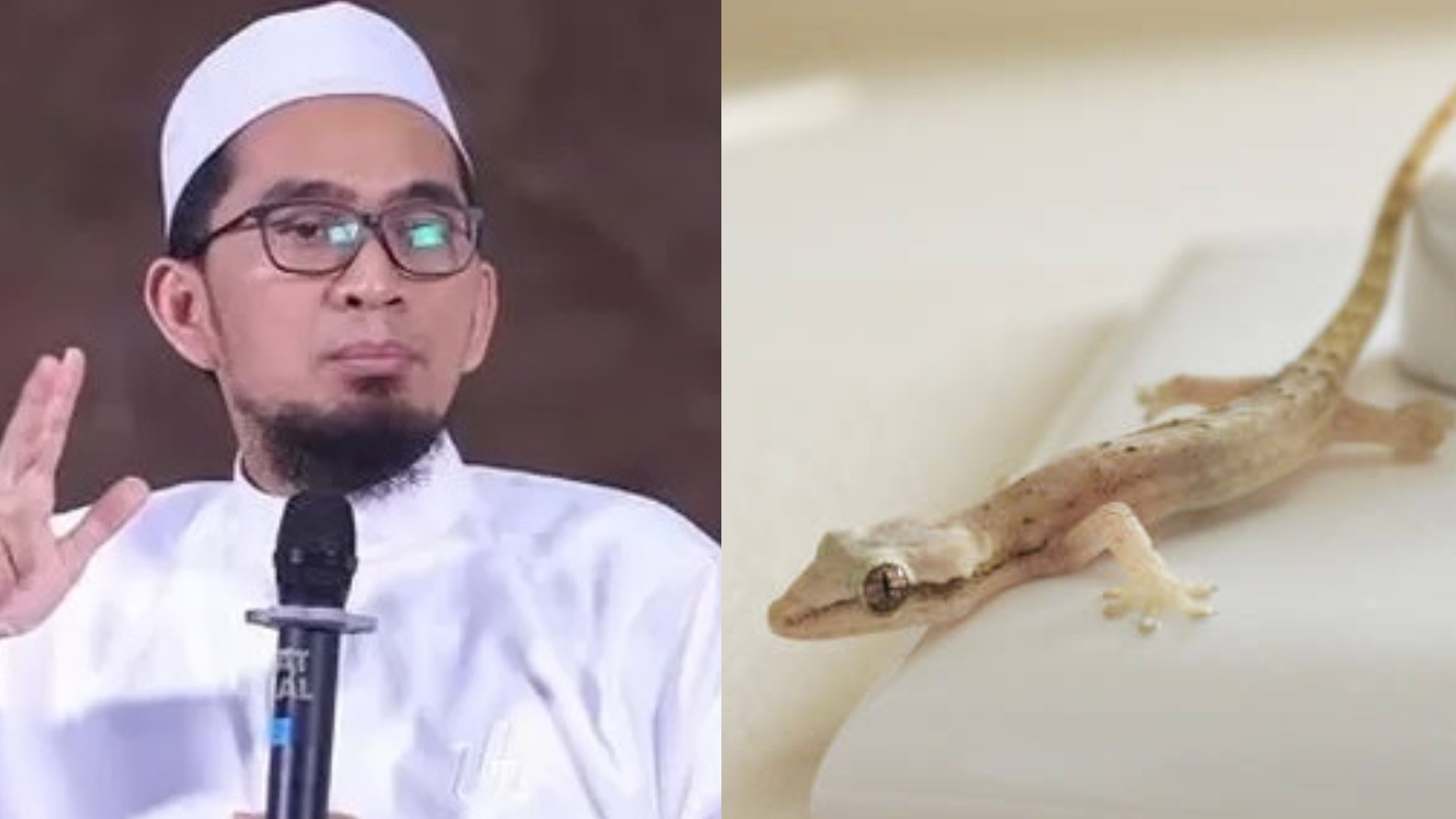 Ustaz Adi Hidayat cicak