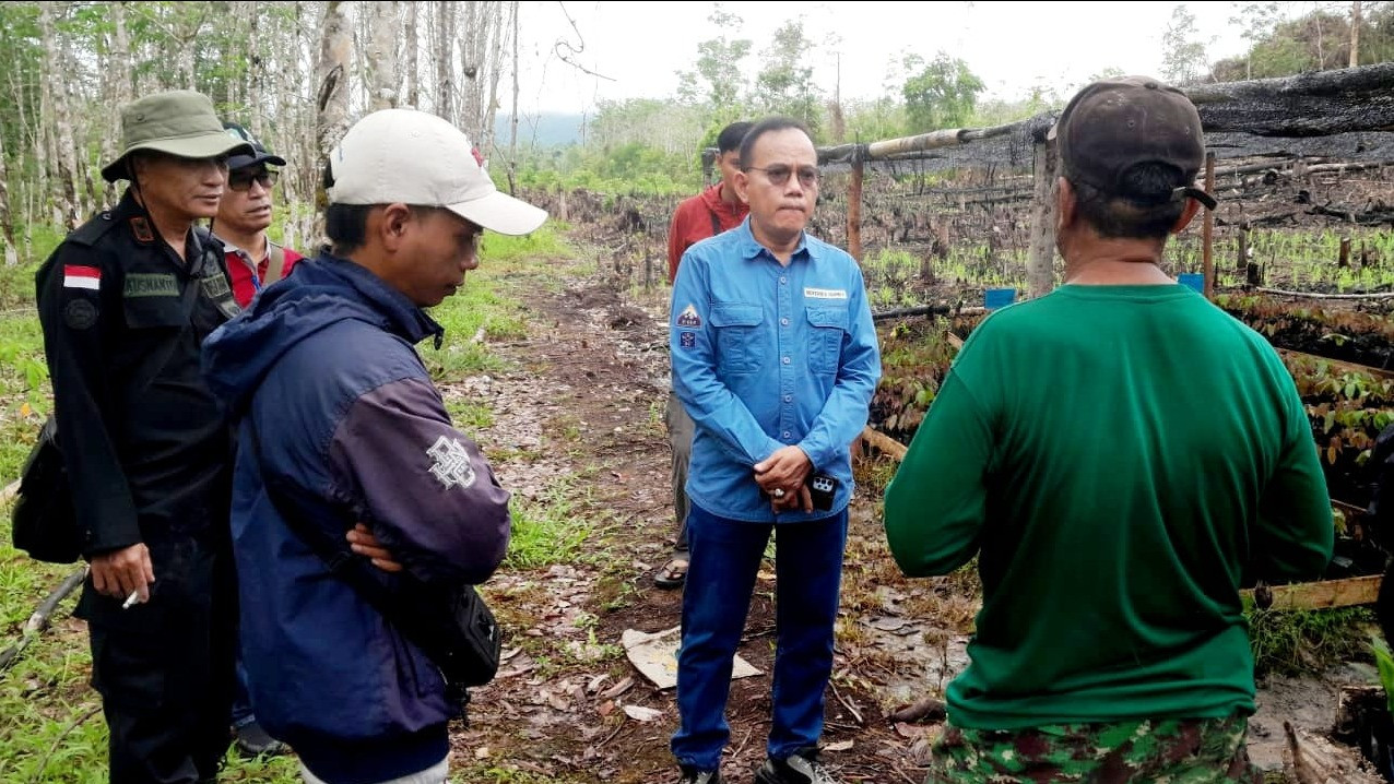 BPDAS KAPUAS Provinsi Kalbar Salurkan Bantuan Bibit Gratis ke Masyarakat