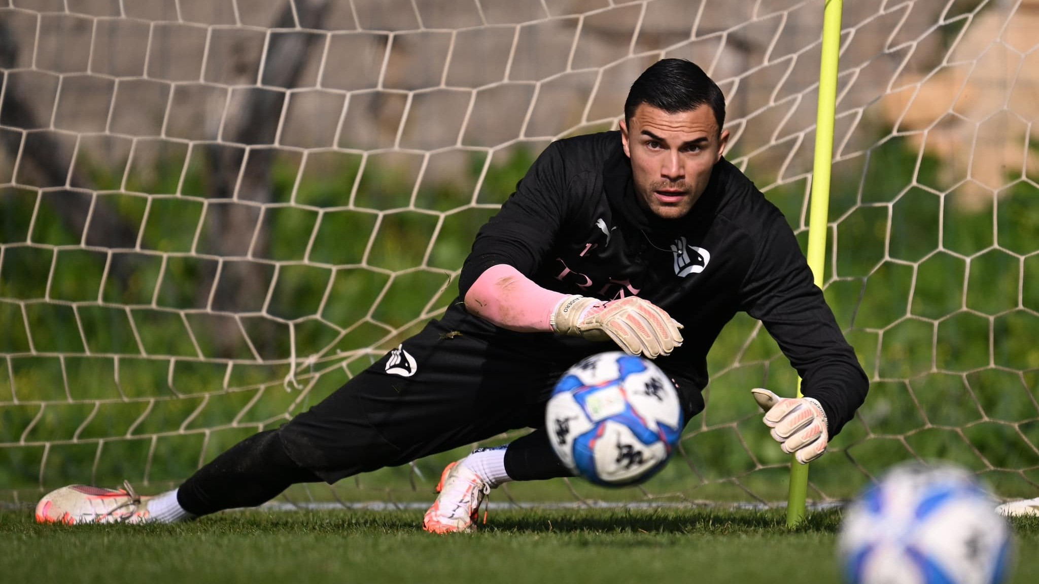 emil audero