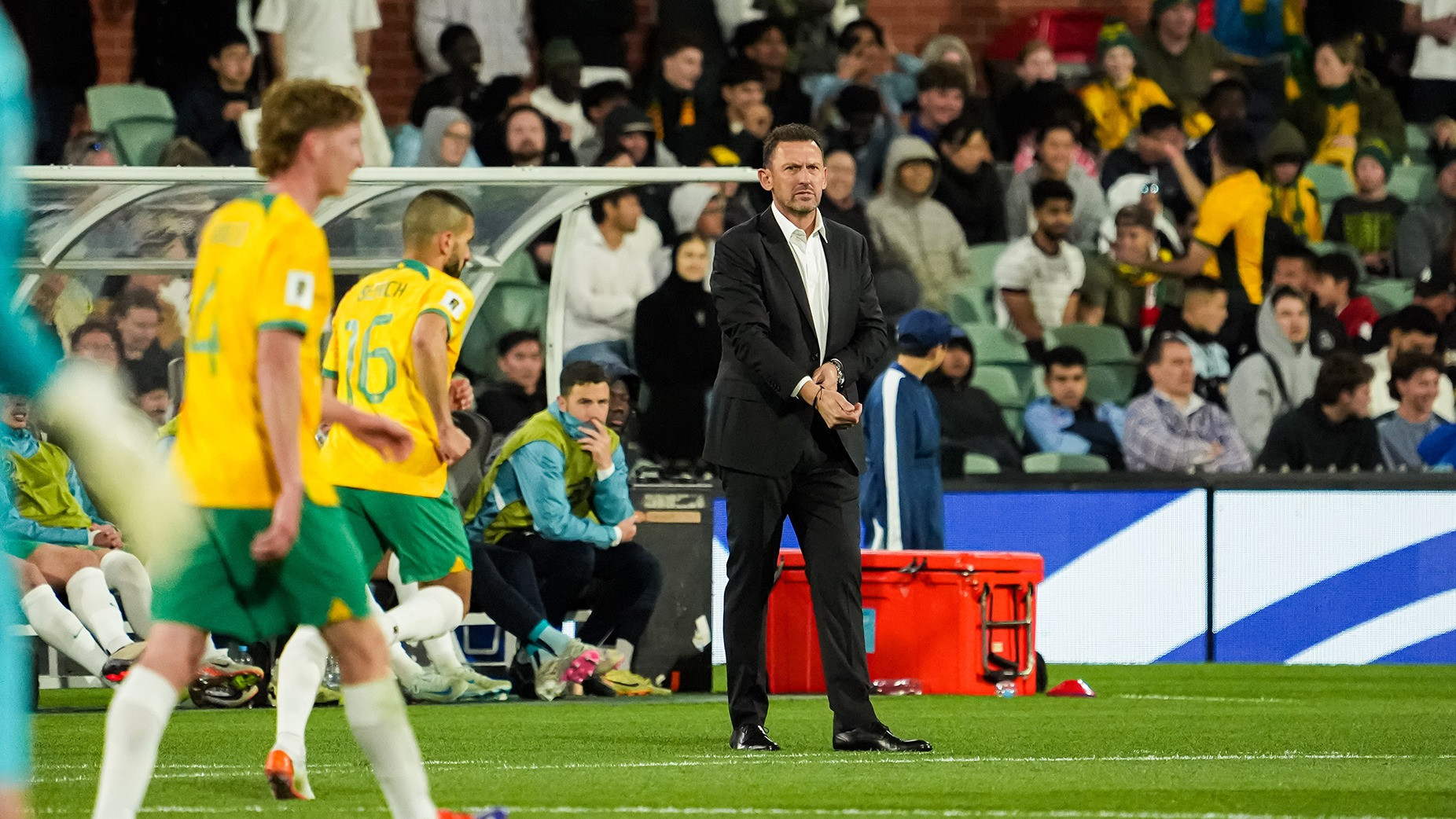 Pelatih Australia Tony Popovic