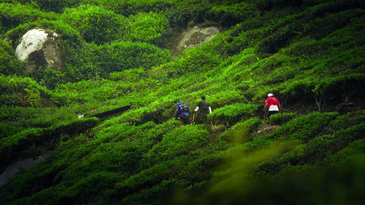 Kristjan Chapman Juara CULTRA 2025, Pecahkan Rekor 100 KM di Dataran Tinggi Cameron Highlands
            - galeri foto