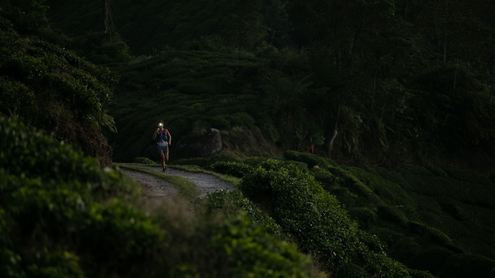 Trail Run Makin Diminati Para Runners, Penasaran? Berikut Gambarannya Pada CULTRA 2025
            - galeri foto